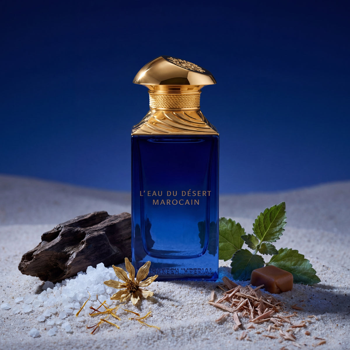 L'Eau du Désert Marocain