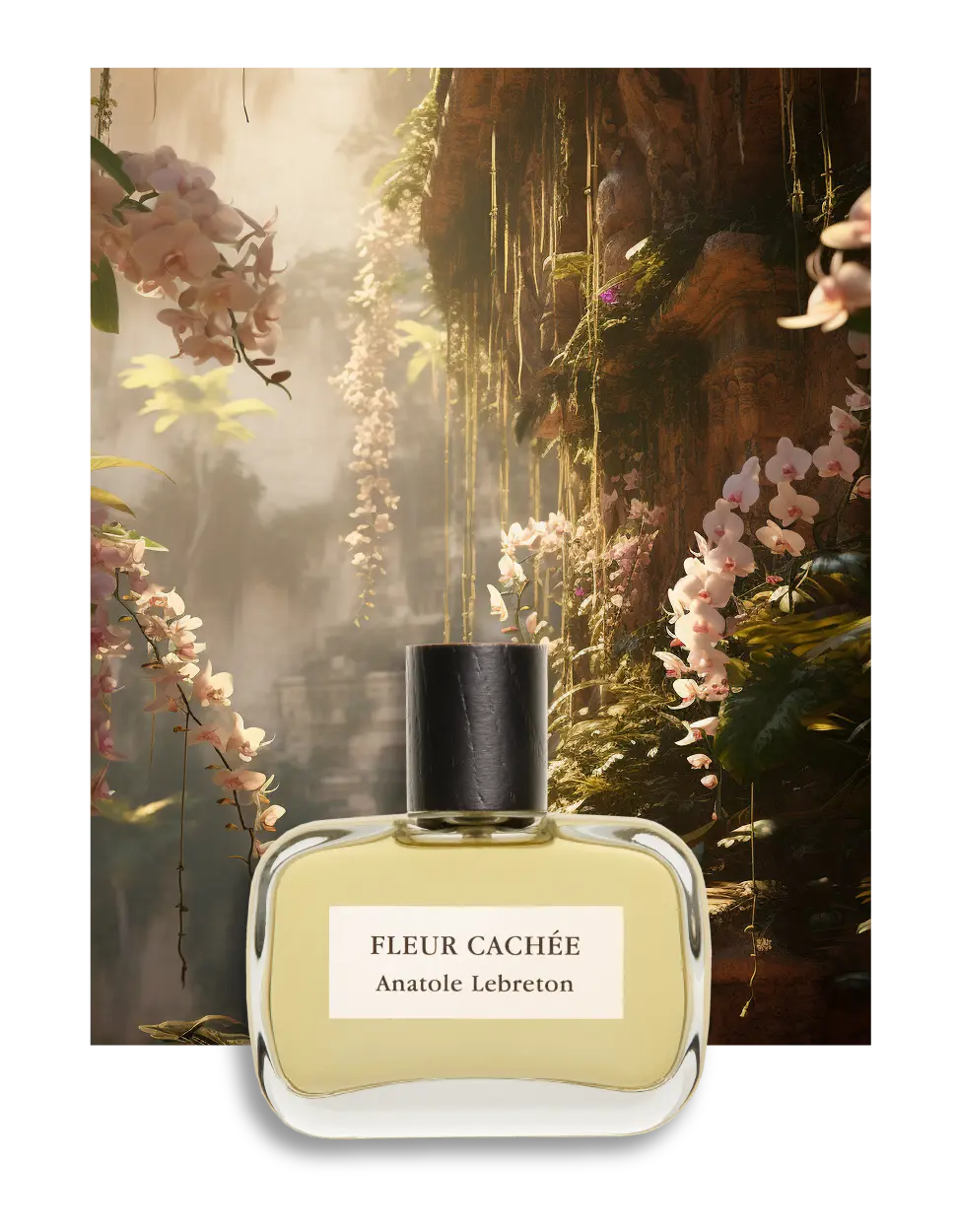 Fleur Cachée