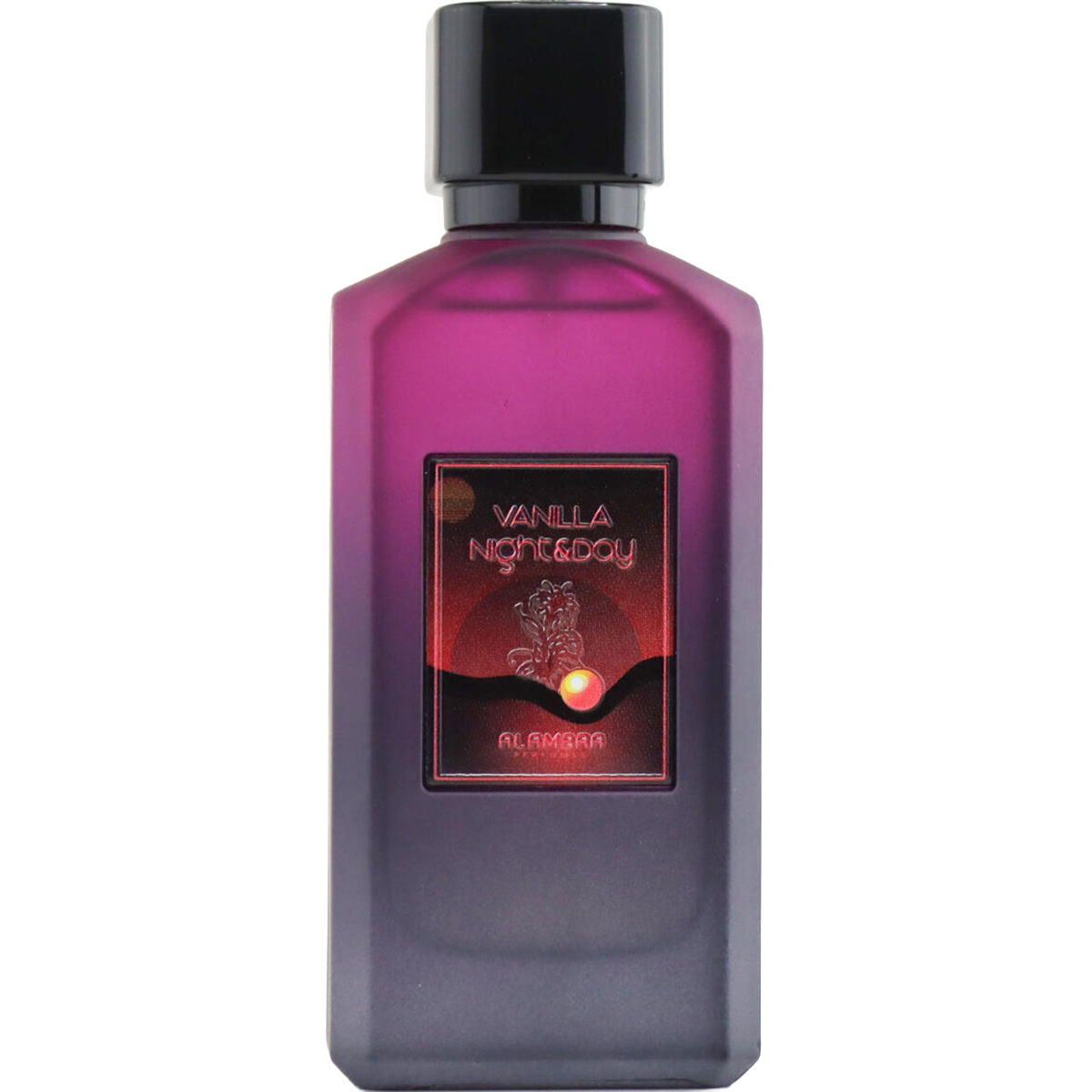 Vanilla Night & Day