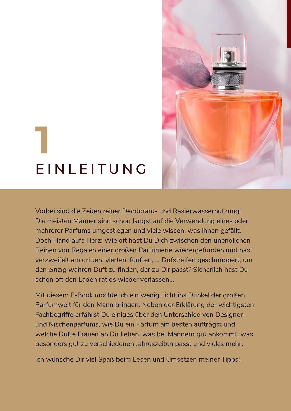 PDF Ratgeber Herrenparfums