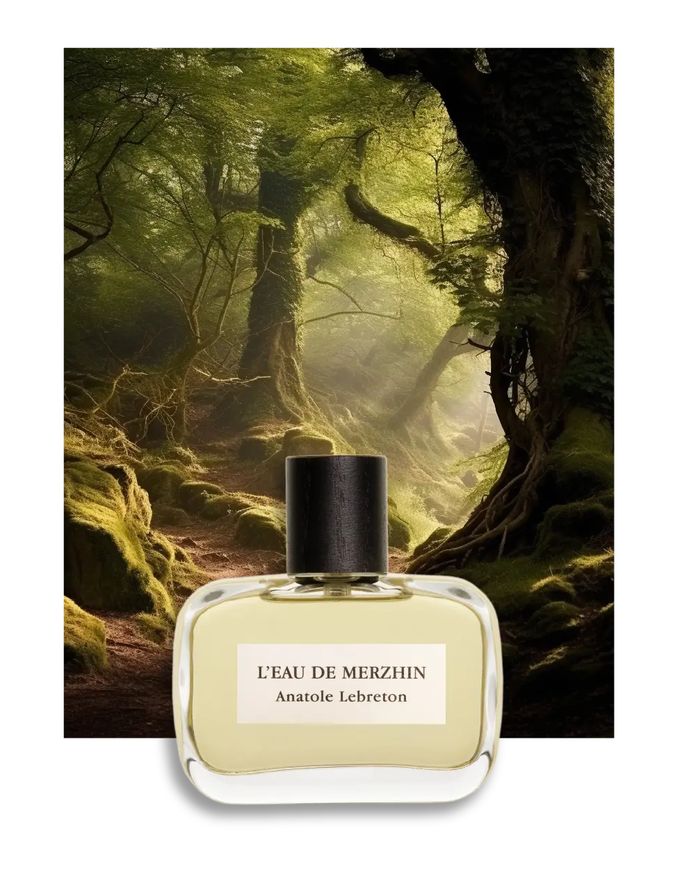 L'Eau de Merzhin
